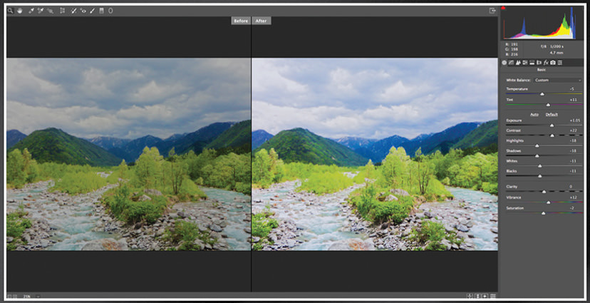 white balance adjustment screen