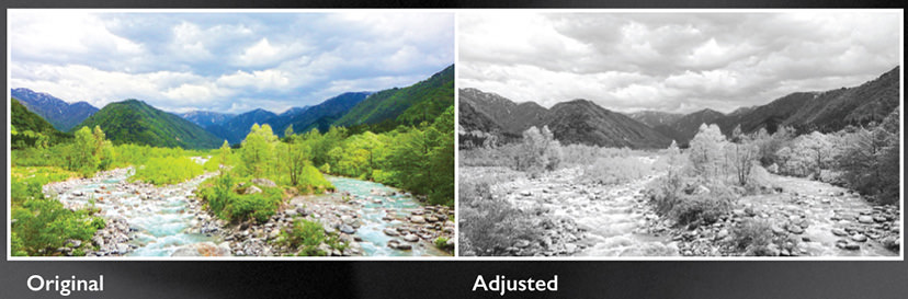 Before and after grayscale conversion