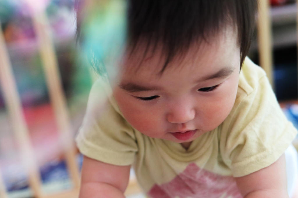 Image shot with Creative Auto: Vivid using  EOS 200D