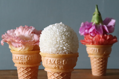 EOS 200D Creative Auto: Background blur - Strong