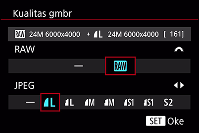 Menu format perekaman EOS M100