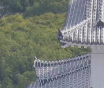 shutter speed comparison