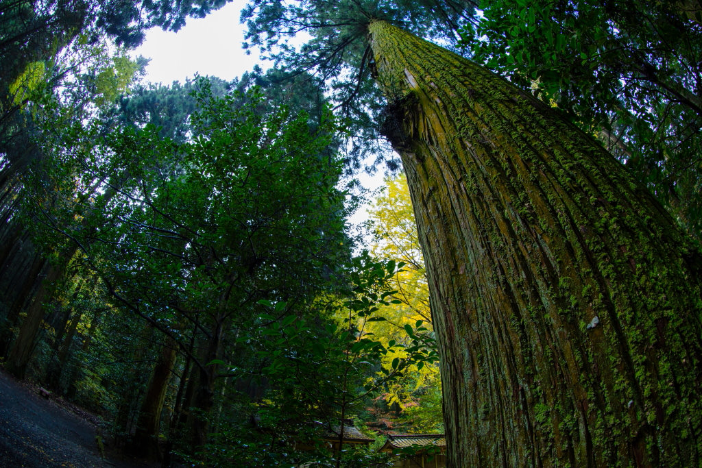 Shot with full-frame camera at 15mm (diagonal fisheye)