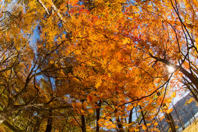 Shot with full-frame camera at 15mm (diagonal fisheye)