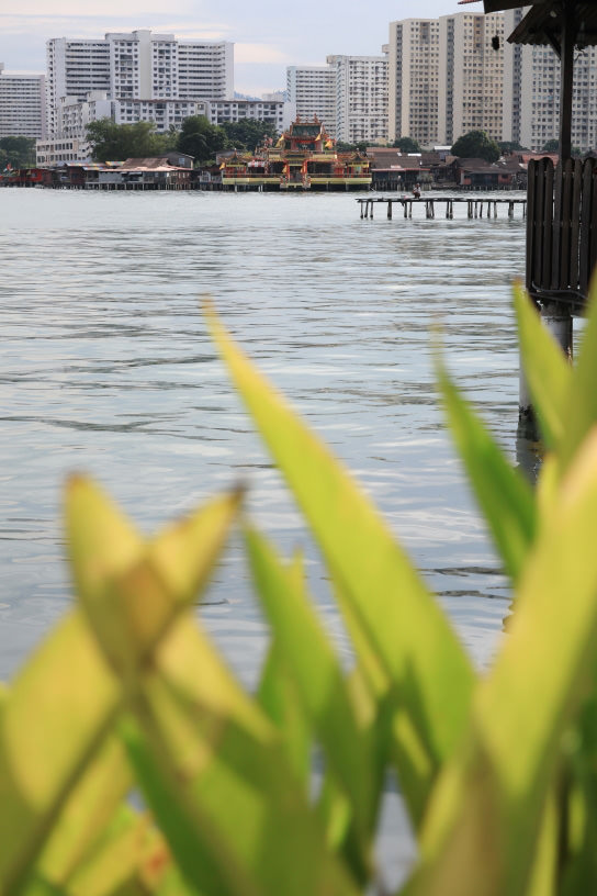 Foreground bokeh, street photography, PowerShot G1 X Mark III