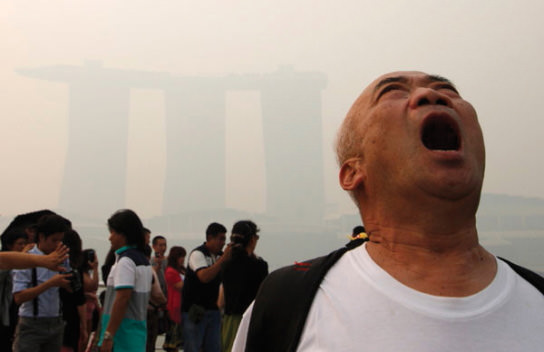 EOS Professional Edgar Su