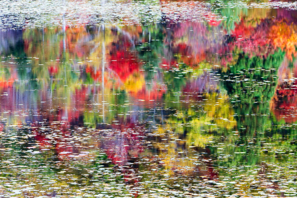 Photograph resembling an abstract painting. Kannon-numa Forest Park, Fukushima, Japan 