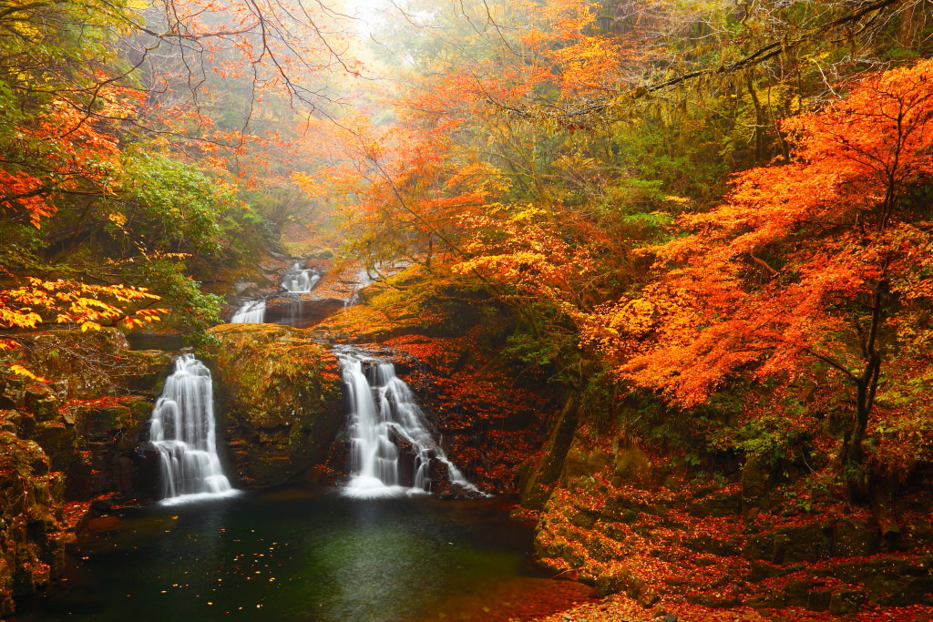 Autumn foliage at the Ninai Falls, Mie, Japan