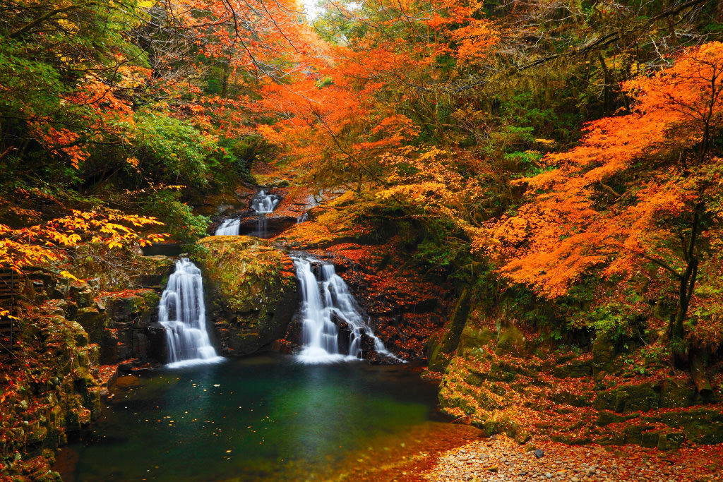 Autumn foliage at the Ninai Falls, Mie, Japan