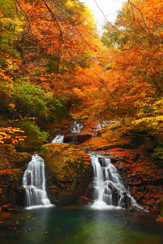 Cluttered image (portrait orientation). Ninai Falls, Mie, Japan