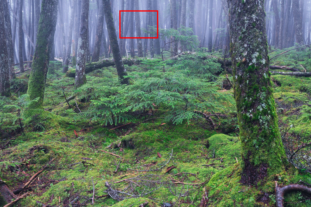 Mist in landscape photograph