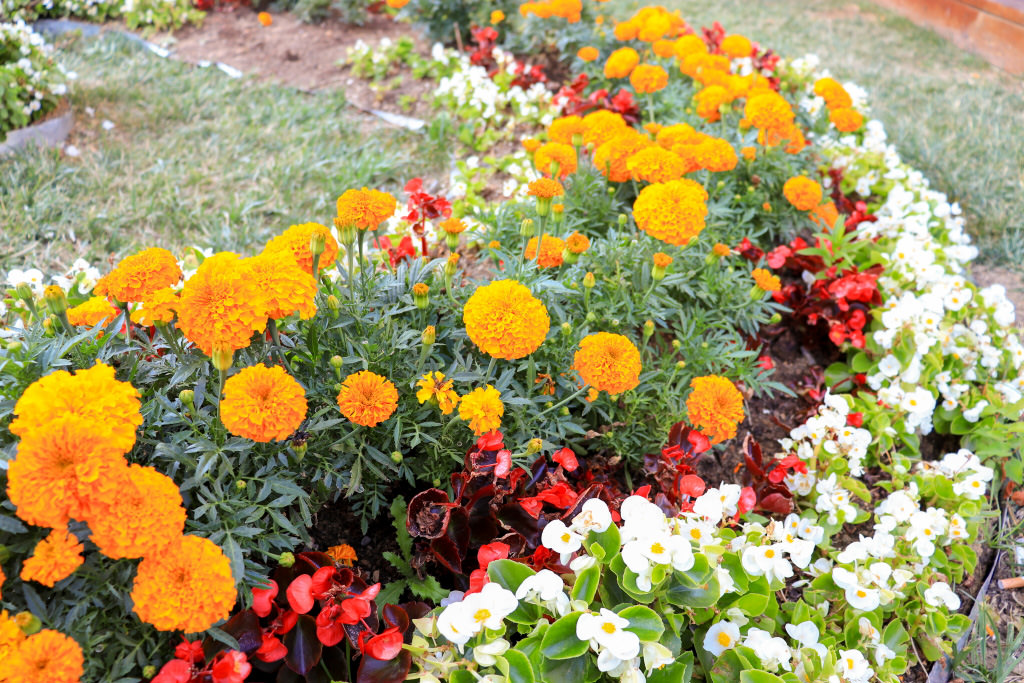 Steps to bokeh – No bokeh at 18mm