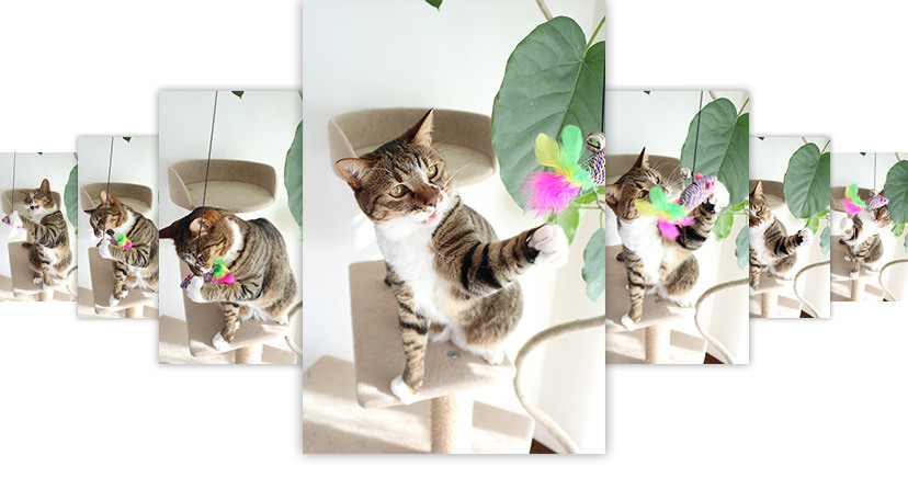 Continuous shots with EOS M100