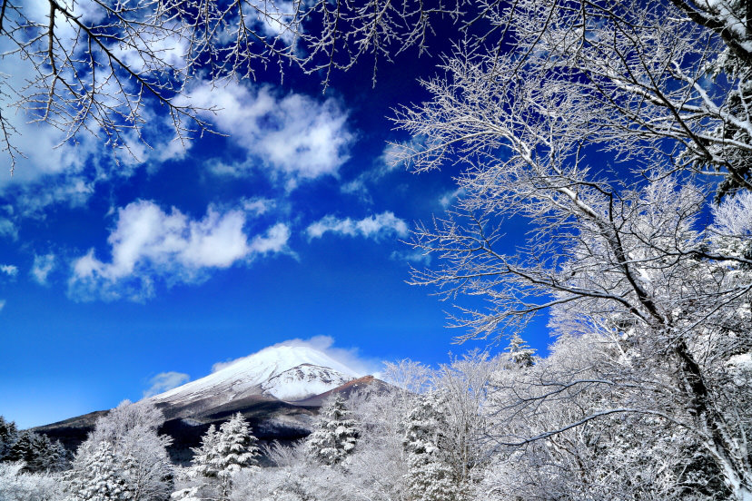 Mount Fuji shot from Mizugatsuka Park, Shizuoka
