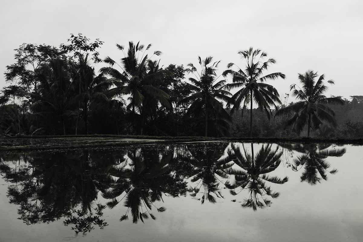 bali ubud with canon eos 5d Mark IV