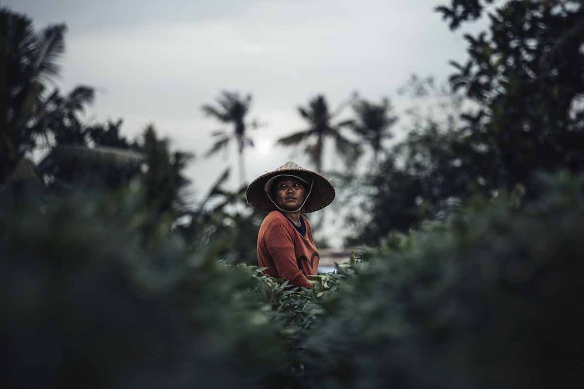 people in rice paddies with canon EOS 5D Mark IV