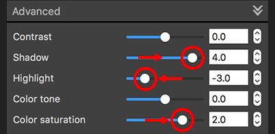 Adjusting detailed settings in DPP