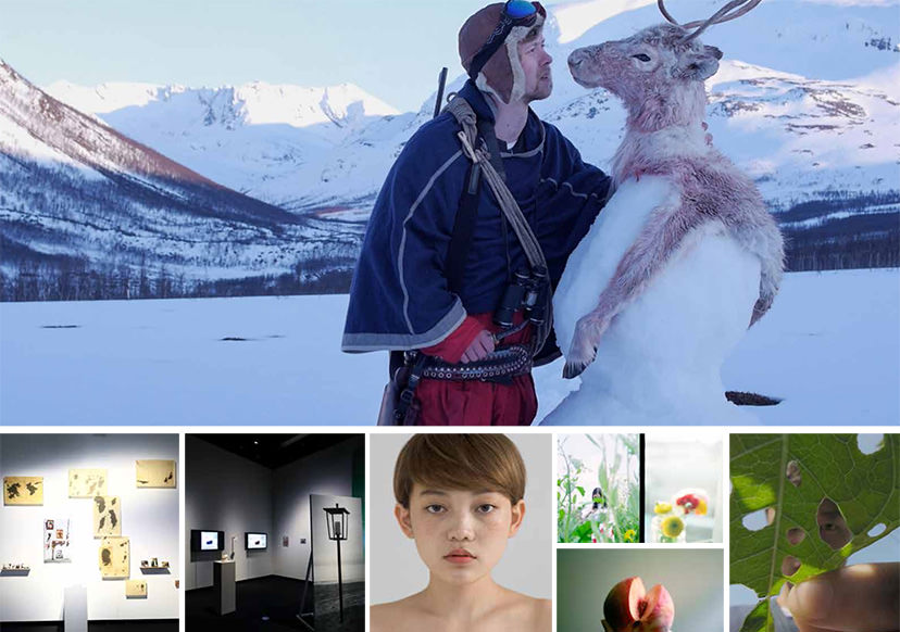 New Cosmos of Photography 2017 winning entries