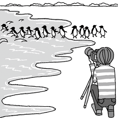 Shooting position (Penguins at sea)