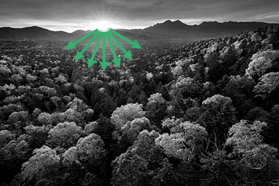 Diagram showing viewer’s line of vision