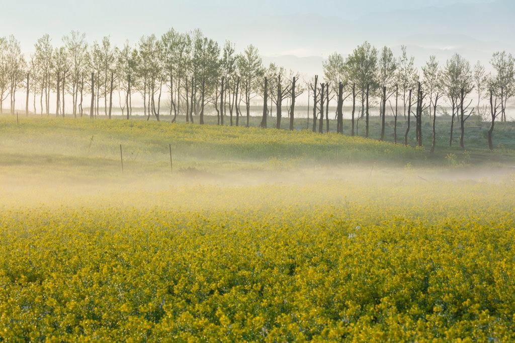 landscape shot – focal length too long