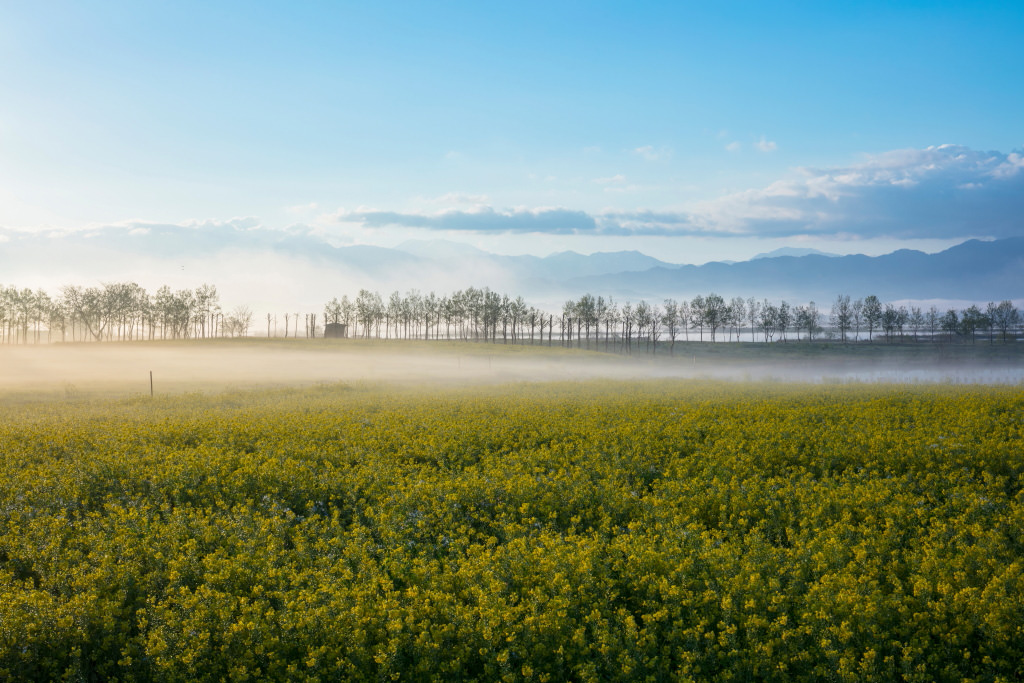 landscape shot – wide angle