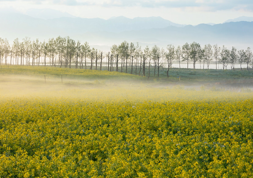 Landscape with telephoto lens – main shot