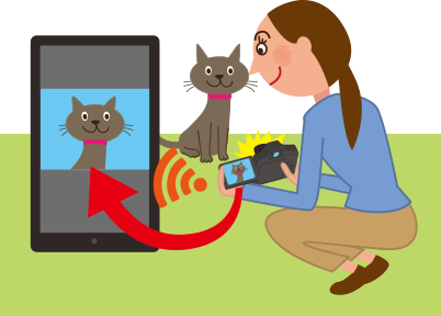 Auto Transfer on EOS M50