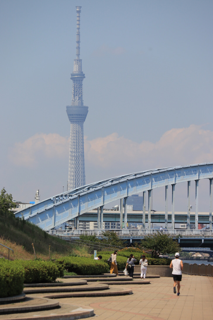 Viewfinder shot of runner in a park