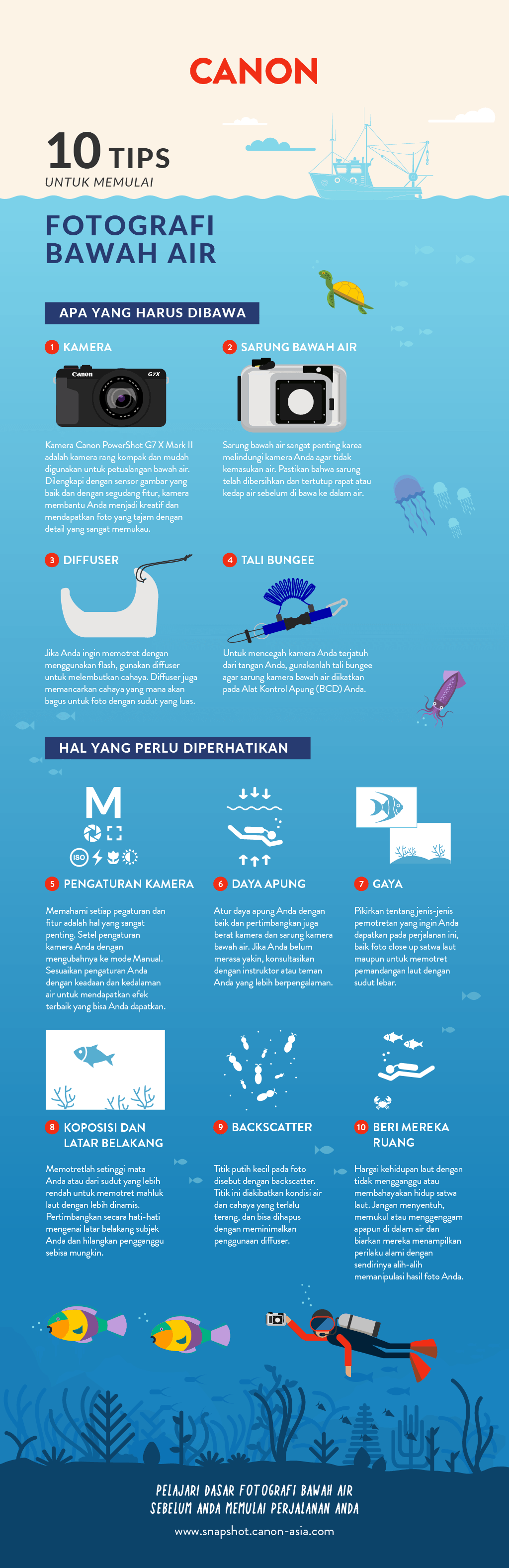 10 Tips to Get You Started in Underwater Photography