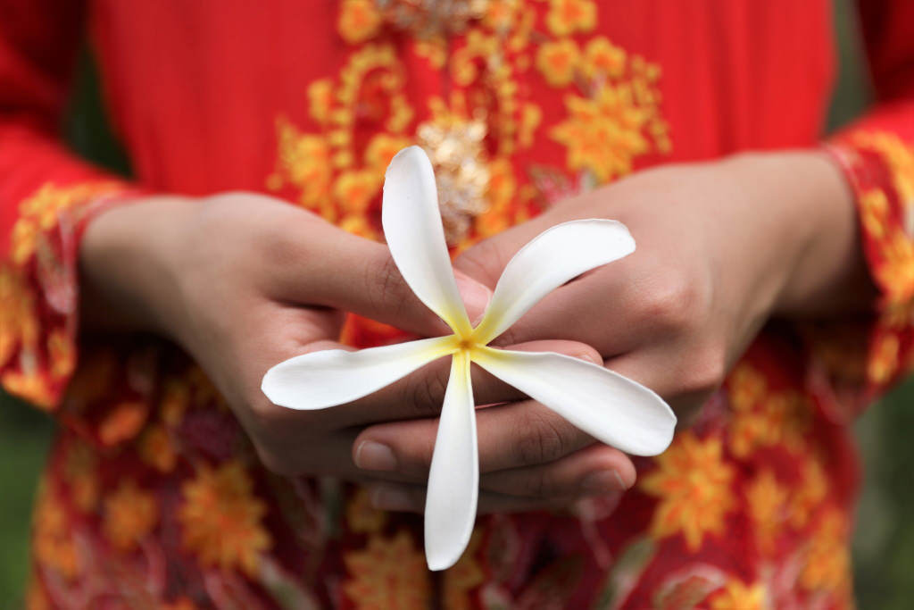Close-up of hands holding orchid