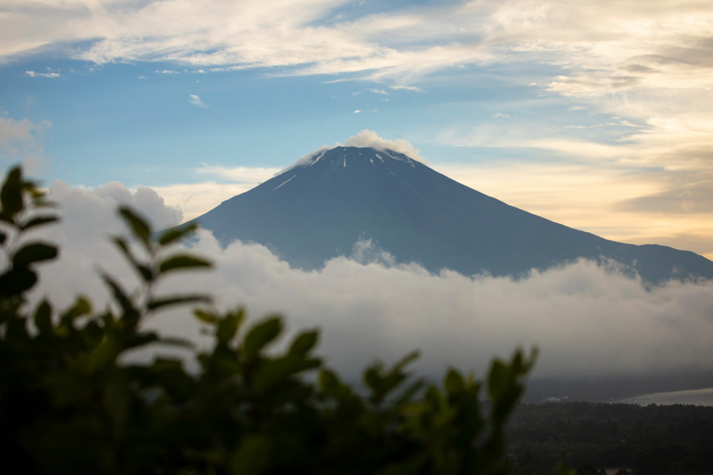 Mount Fuji with foreground bokeh plants