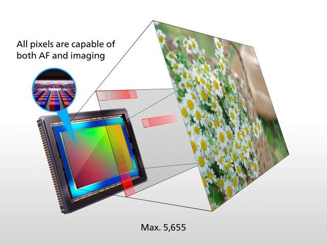 5,655 selectable AF points position on EOS R