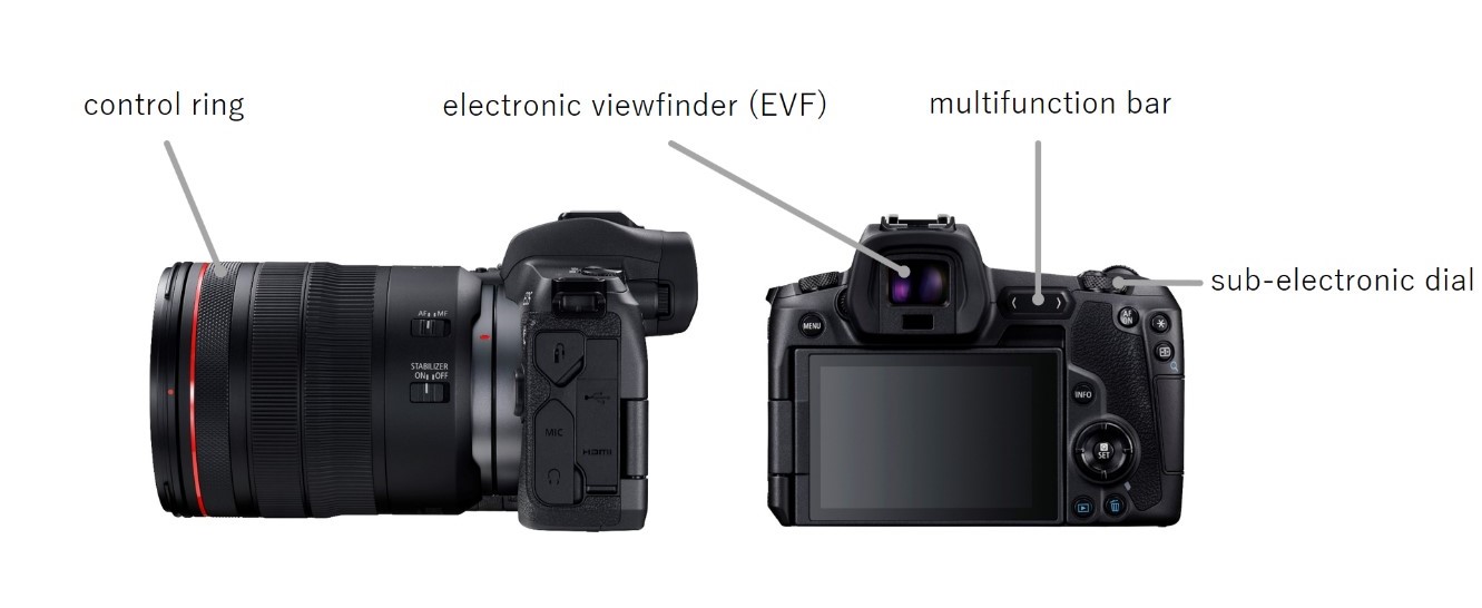 side and back view of EOS R