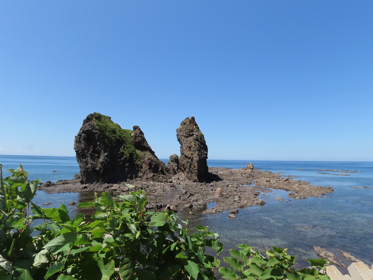 Canon PowerShot SX70 HS, 1/800 sec, f/8, 4mm, ISO 200