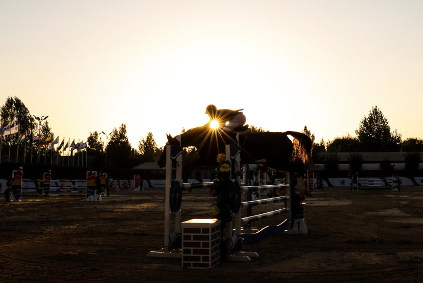 Silhouette of horse jumping over fence