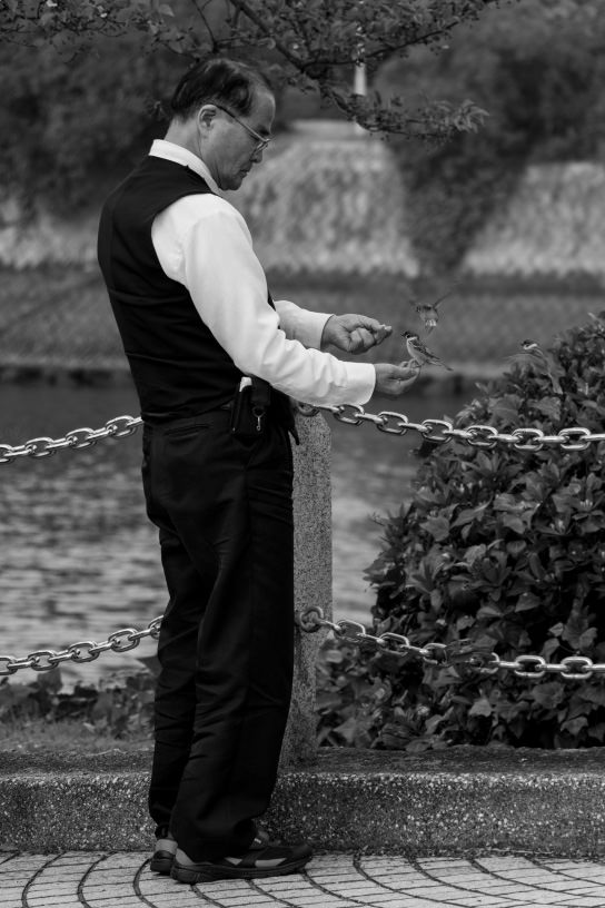 Man feeding birds at Hiroshima Peace Park