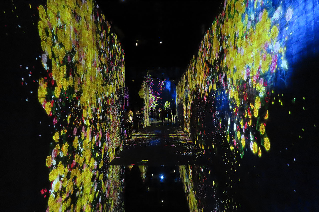 PowerShot SX70 HS low light