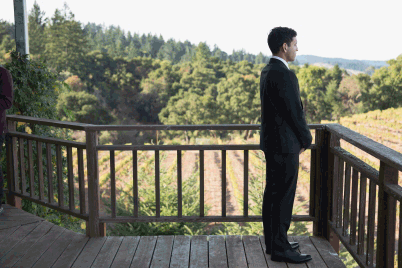 Bride and groom encountering each other (gif)