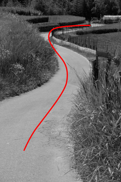 Winding country path (illustration)