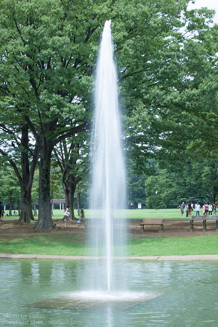 Fountain in a park