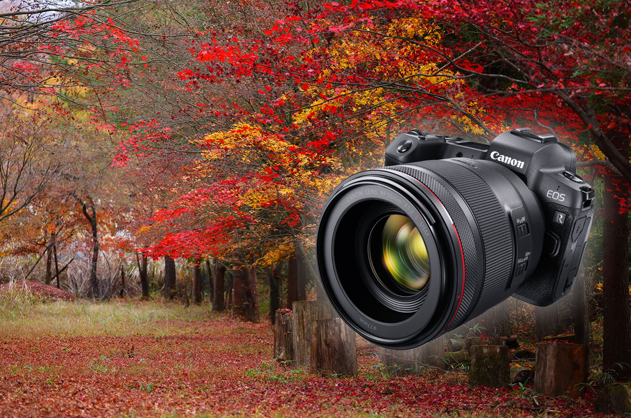 EOS R for travel photography