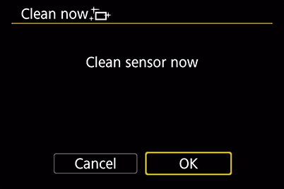 Sensor cleaning: Clean sensor now - OK