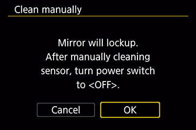 Clean manually instructions screen
