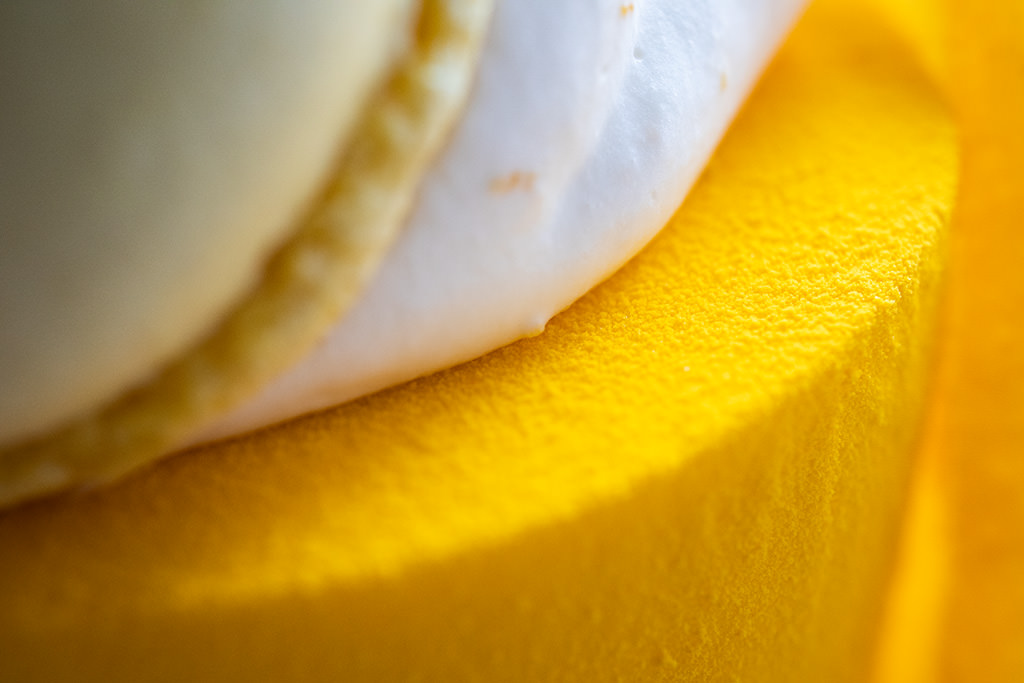 Close up of citrus cake