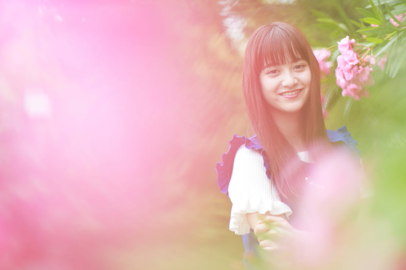 A “pink filter” effect with pink flowers turned into pink creamy bokeh