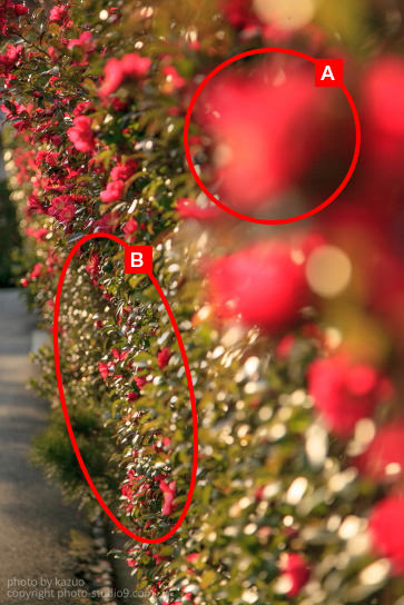 Illustration of where to focus