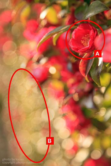 Close up of results when focus is on foreground