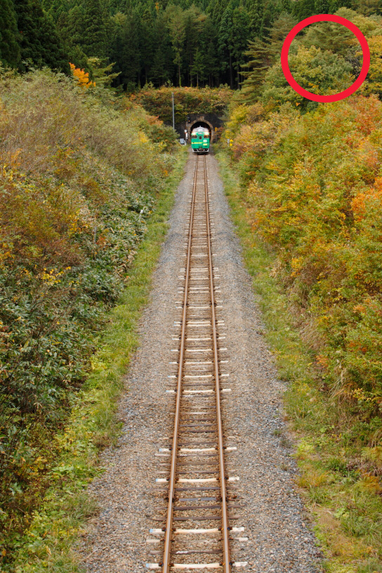Railway tracks, tunnel and train