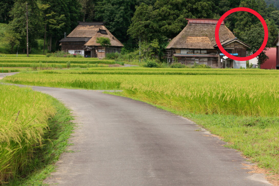 Farm road and houses